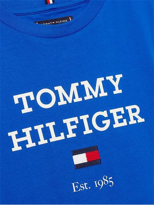  TOMMY HILFIGER | KB0KB08671T/C66